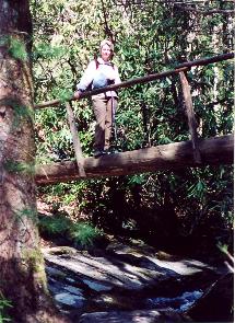 Anne on log bridge at Abrams Falls